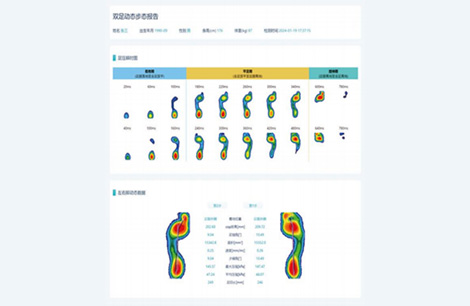 双足动态步态报告