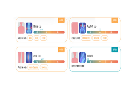 风险解析